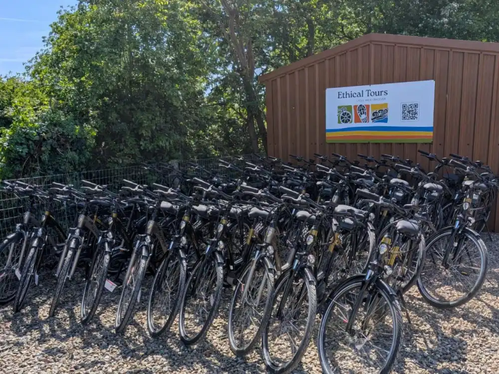 hybrid bikes