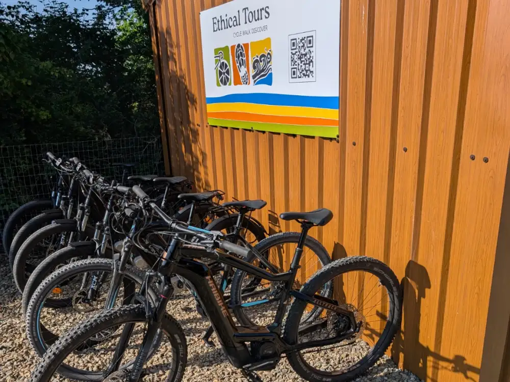 mountail bikes