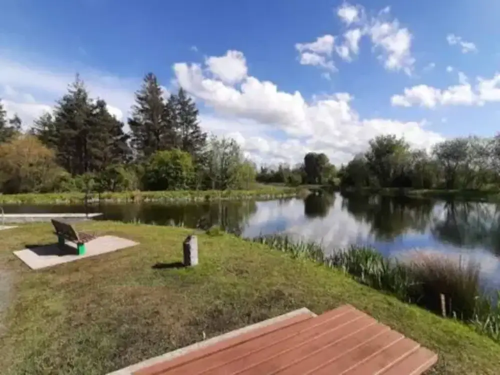 Bronze Shoes at Longford Junction on the Royal Canal National Famine Way